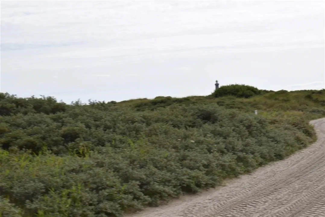 G22.2 grenen and the sandormen sat 22 jul (37)